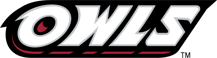 Temple Owls 1996-2014 Wordmark Logo diy iron on heat transfer